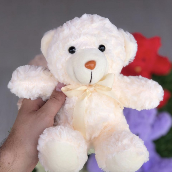 EL CAMIÓN DE LOS PELUCHES